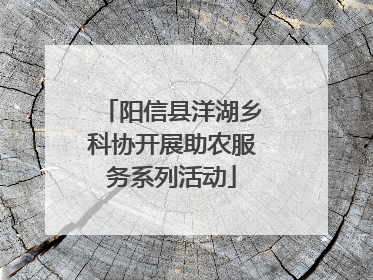 阳信县洋湖乡科协开展助农服务系列活动