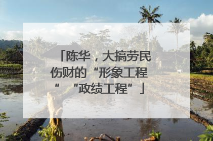 陈华，大搞劳民伤财的“形象工程”“政绩工程”