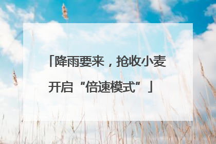 降雨要来，抢收小麦开启“倍速模式”