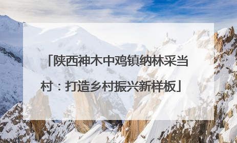 陕西神木中鸡镇纳林采当村：打造乡村振兴新样板