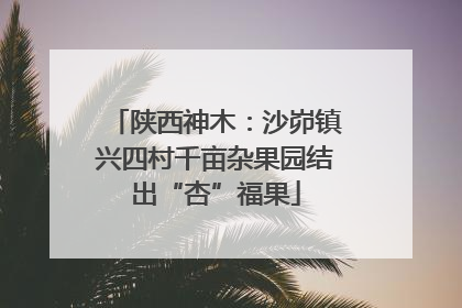 陕西神木：沙峁镇兴四村千亩杂果园结出“杏”福果
