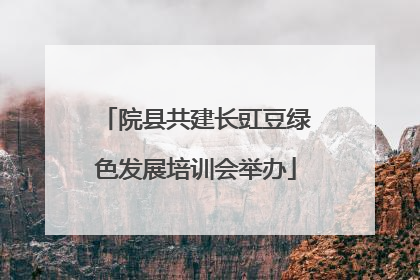 院县共建长豇豆绿色发展培训会举办