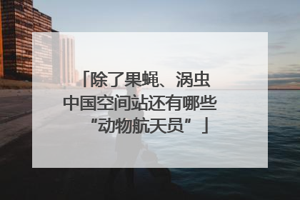 除了果蝇、涡虫 中国空间站还有哪些“动物航天员”