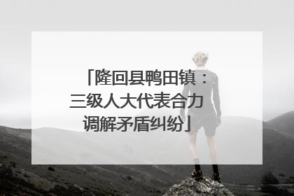 隆回县鸭田镇：三级人大代表合力调解矛盾纠纷