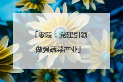 零陵：党建引领 做强蔬菜产业