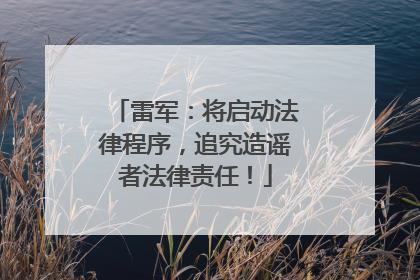 雷军：将启动法律程序，追究造谣者法律责任！