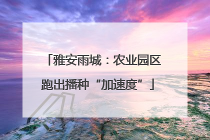 雅安雨城：农业园区跑出播种“加速度”