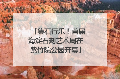 集石行乐！首届海淀石刻艺术周在紫竹院公园开幕