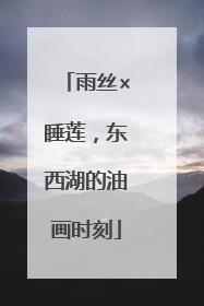 雨丝×睡莲，东西湖的油画时刻