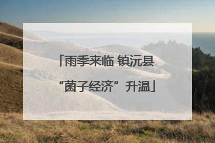 雨季来临 镇沅县“菌子经济”升温