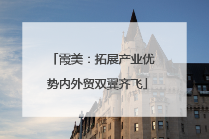 霞美：拓展产业优势内外贸双翼齐飞
