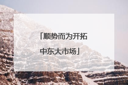 顺势而为开拓中东大市场