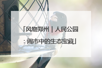 风物郑州｜人民公园：闹市中的生态宝藏