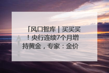 风口智库｜买买买！央行连续7个月增持黄金，专家：金价或仍易涨难跌