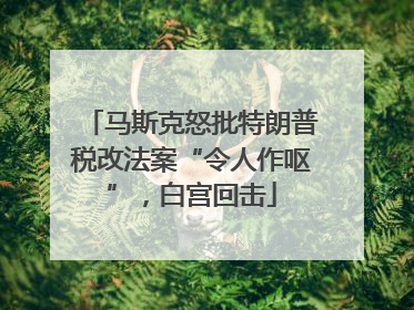马斯克怒批特朗普税改法案“令人作呕”，白宫回击