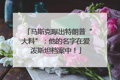 马斯克曝出特朗普“大料”：他的名字在爱泼斯坦档案中！