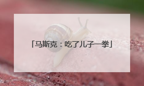 马斯克：吃了儿子一拳