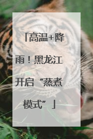 高温+降雨！黑龙江开启“蒸煮模式”