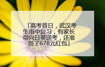 高考首日，武汉考生雨中复习，有家长带向日葵送考，还准备了678元红包