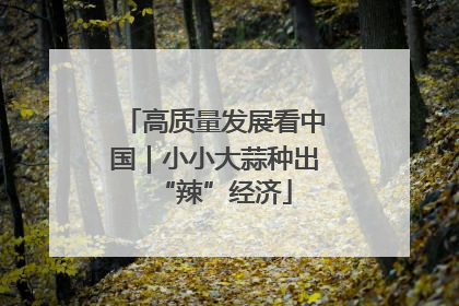 高质量发展看中国｜小小大蒜种出“辣”经济