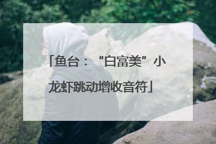 鱼台：“白富美”小龙虾跳动增收音符