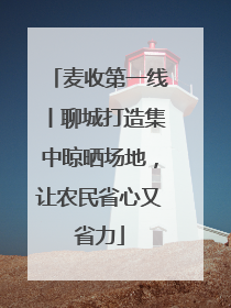 麦收第一线丨聊城打造集中晾晒场地，让农民省心又省力