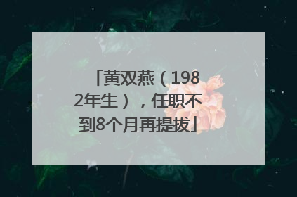 黄双燕（1982年生），任职不到8个月再提拔