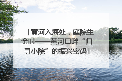 黄河入海处，庭院生金时——黄河口畔“归寻小院”的振兴密码