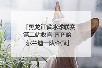 黑龙江省冰球联赛第二站收官 齐齐哈尔兰迪一队夺冠