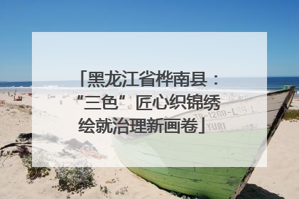 黑龙江省桦南县：“三色”匠心织锦绣 绘就治理新画卷