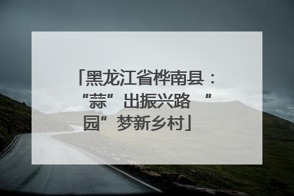 黑龙江省桦南县：“蒜”出振兴路 “园”梦新乡村