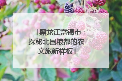 黑龙江富锦市：探秘北国粮都的农文旅新样板