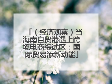 （经济观察）当海南自贸港遇上跨境电商综试区：国际贸易添新动能