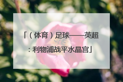 （体育）足球——英超：利物浦战平水晶宫