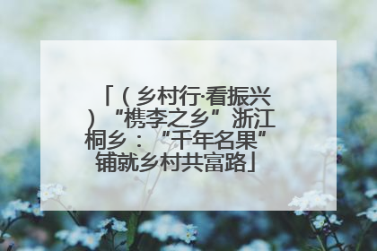 （乡村行·看振兴）“槜李之乡”浙江桐乡：“千年名果”铺就乡村共富路