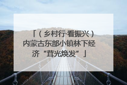 （乡村行·看振兴）内蒙古东部小镇林下经济“茸光焕发”