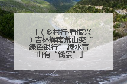 （乡村行·看振兴）吉林辉南荒山变“绿色银行” 绿水青山有“钱景”