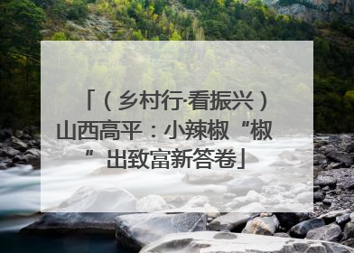 （乡村行·看振兴）山西高平：小辣椒“椒”出致富新答卷