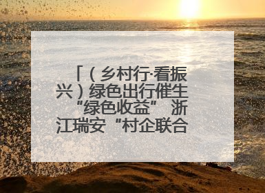 （乡村行·看振兴）绿色出行催生“绿色收益” 浙江瑞安“村企联合体”促共富