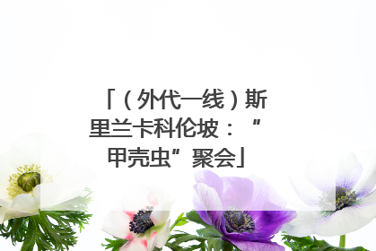 （外代一线）斯里兰卡科伦坡：“甲壳虫”聚会