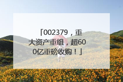 002379，重大资产重组，超600亿重磅收购！