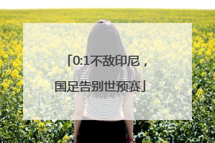 0:1不敌印尼，国足告别世预赛