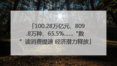 100.28万亿元、809.8万种、65.5%……“数”读消费提速 经济潜力释放