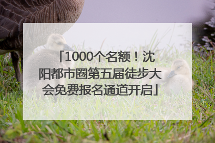 1000个名额！沈阳都市圈第五届徒步大会免费报名通道开启