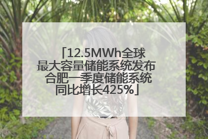 12.5MWh全球最大容量储能系统发布 合肥一季度储能系统同比增长425%