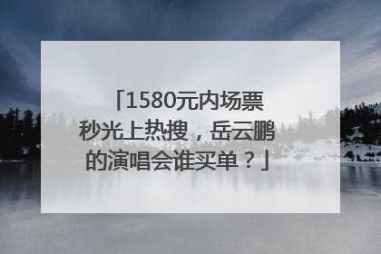 1580元内场票秒光上热搜，岳云鹏的演唱会谁买单？