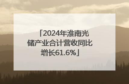 2024年淮南光储产业合计营收同比增长61.6%