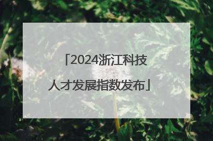 2024浙江科技人才发展指数发布