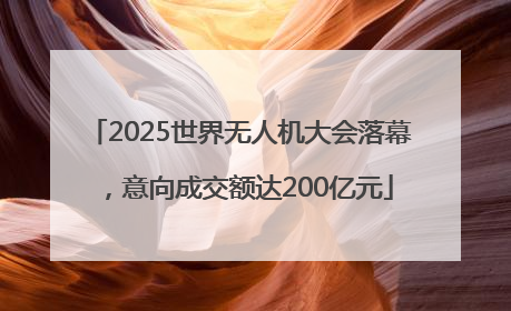 2025世界无人机大会落幕，意向成交额达200亿元