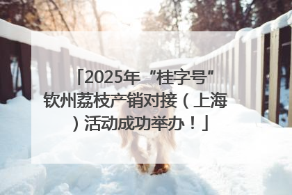 2025年“桂字号”钦州荔枝产销对接（上海）活动成功举办！